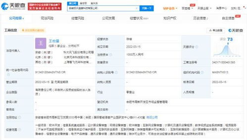 科大訊飛深耕軟件服務，安徽成立新公司加速業務版圖擴張